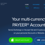 Payeer payment processor website