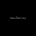 Buckaroo on PayRate42